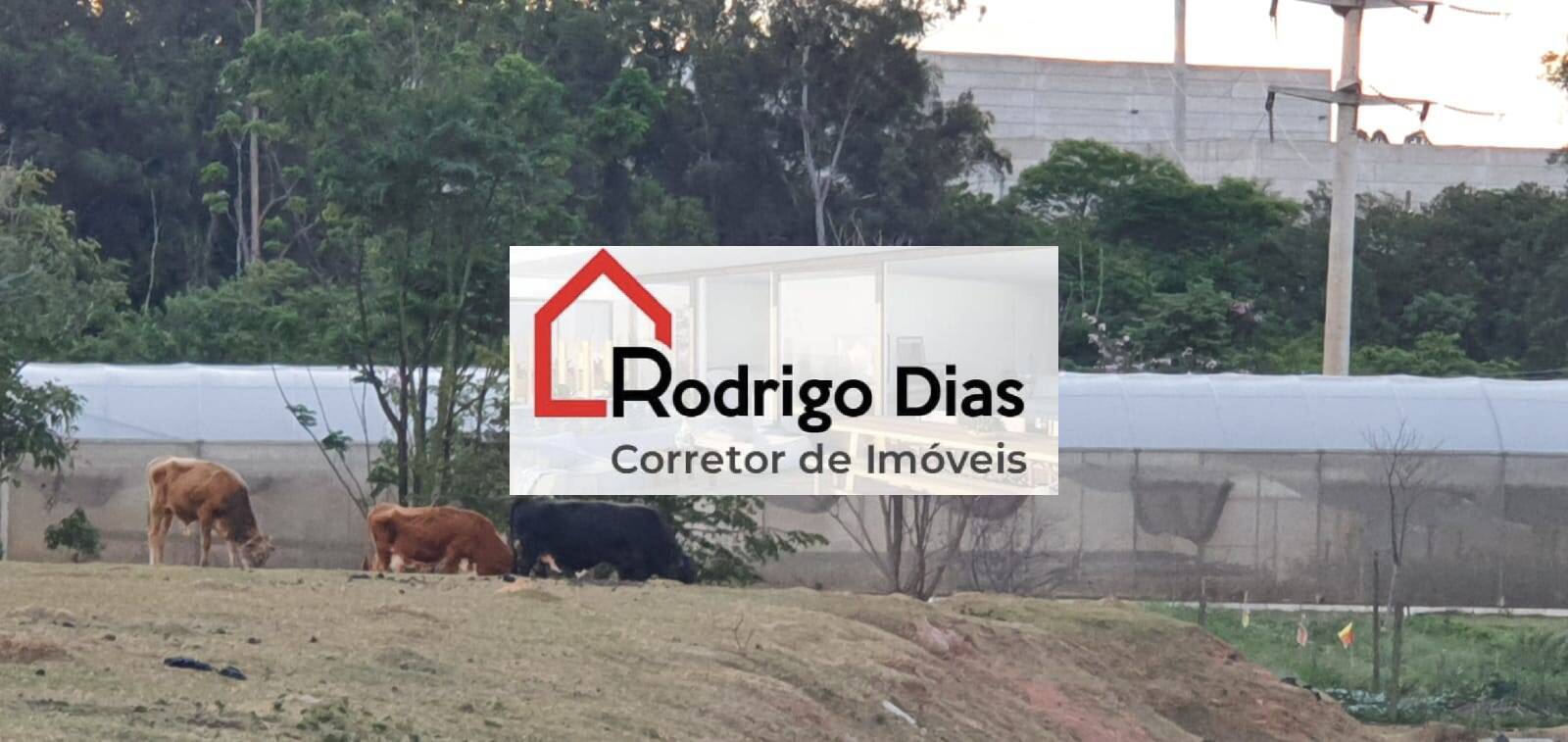 Casa de Condomínio à venda com 3 quartos, 120m² - Foto 10